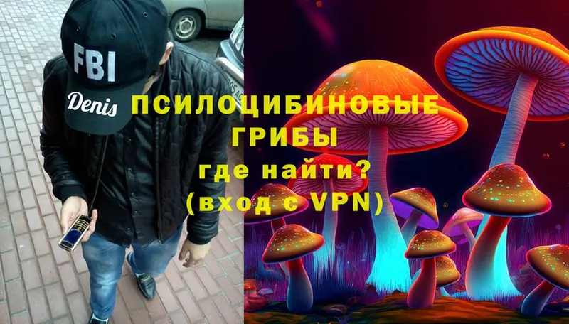 kraken ССЫЛКА  Вышний Волочёк  Псилоцибиновые грибы Psilocybine cubensis 